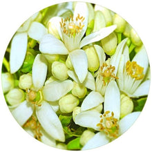 Load image into Gallery viewer, Grooming Dept Vegan Shaving Soap, Neroli Di Bois