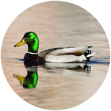Load image into Gallery viewer, Grooming Dept Duck Fat Shaving Soap, Mallard Kulfi
